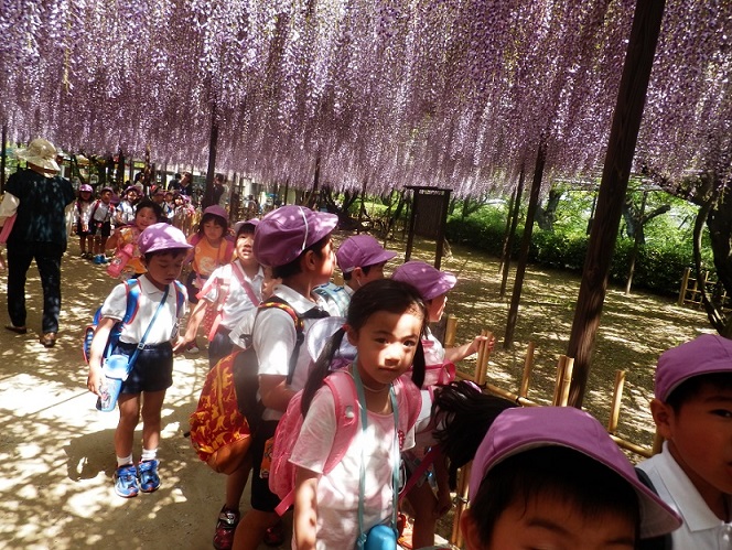 園外保育に行きました！！《年長》～岡崎公園～:画像３