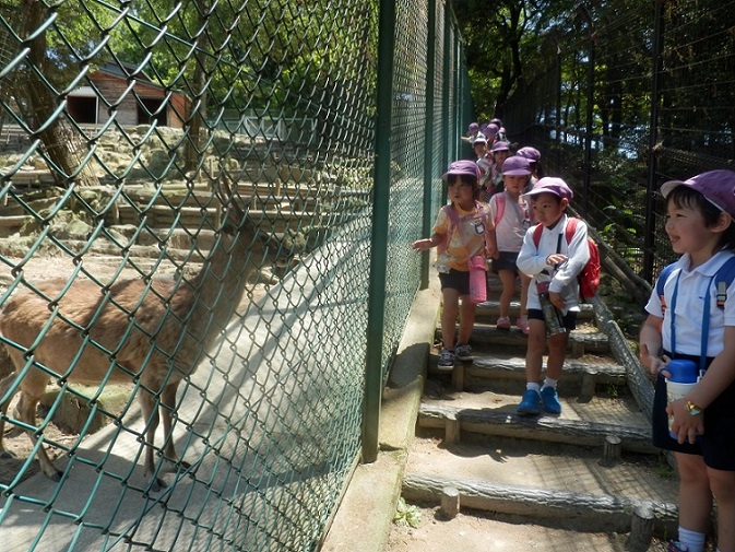 東公園まで歩いたよ！！【年長】:画像２