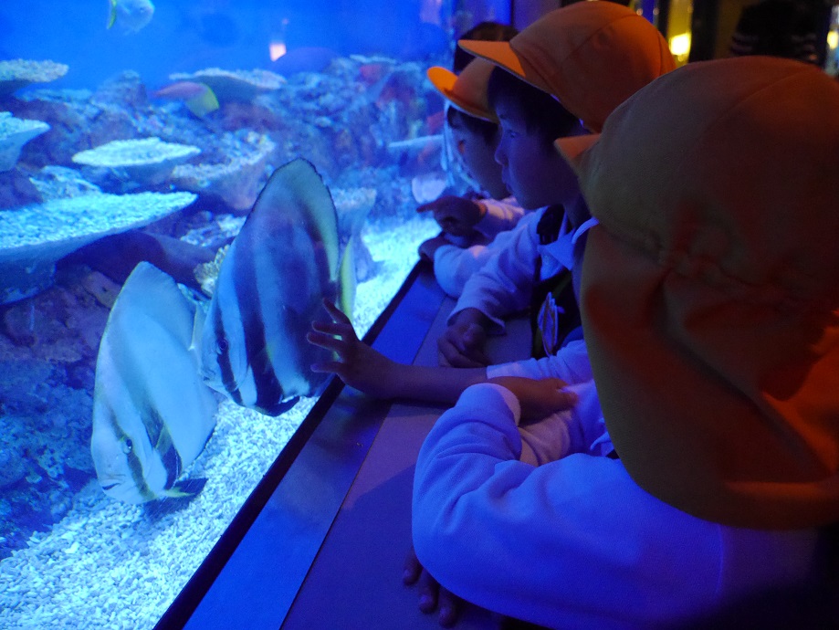 竹島水族館に行ったよ★年長★:画像２