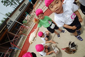 いちご動物園がやってきた！！！！➀:画像３