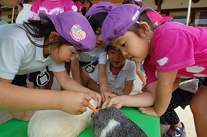 いちご動物園がやってきた！！！！➀:画像４