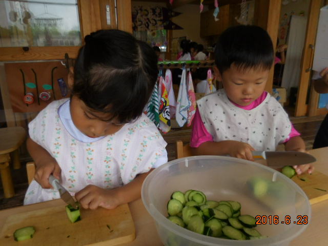 夏野菜、続々と収穫中！！（年長）