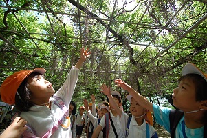 ☆年長☆　岡崎公園へ行ってきました！　NO.１