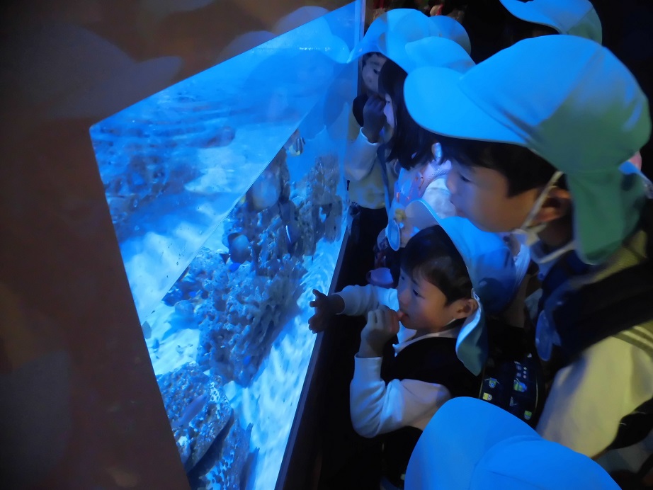 ★年中★　竹島水族館に行ったよ　NO．２