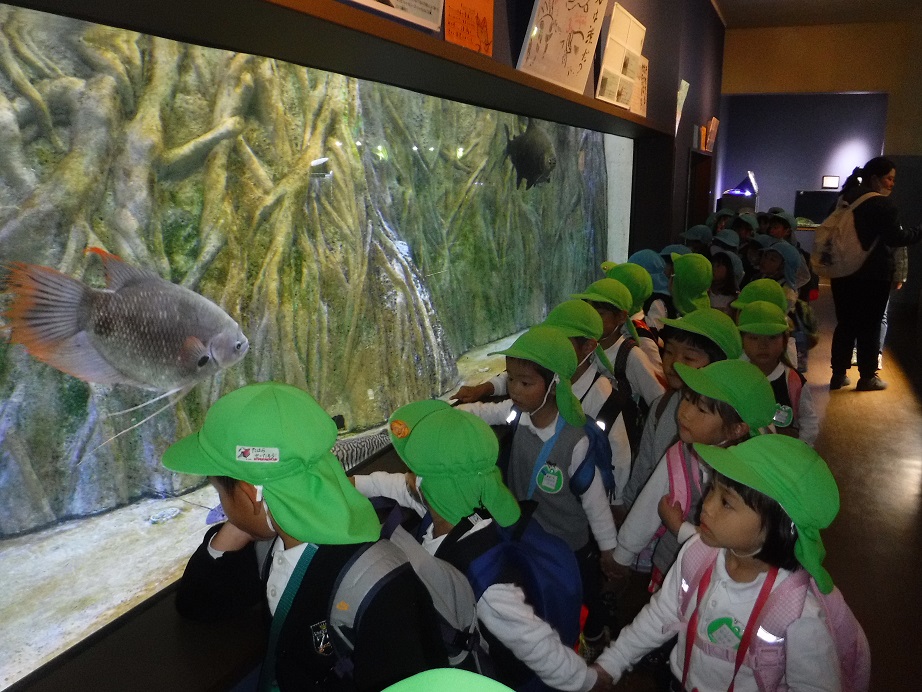 ★年中★　竹島水族館に行ったよ　NO．２:画像５