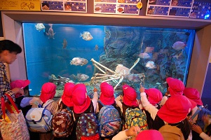 ★年中★　竹島水族館に行ったよ　NO．２:画像４