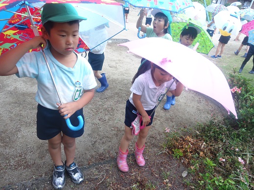 ★年長★　雨の日散歩にでかけたよ:画像３