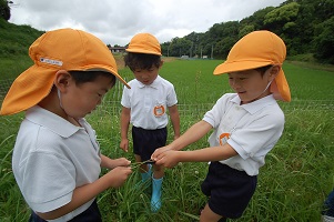 ★年長★　雨の日散歩第２弾！