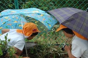 ★年長★　雨の日散歩にでかけたよ:画像４