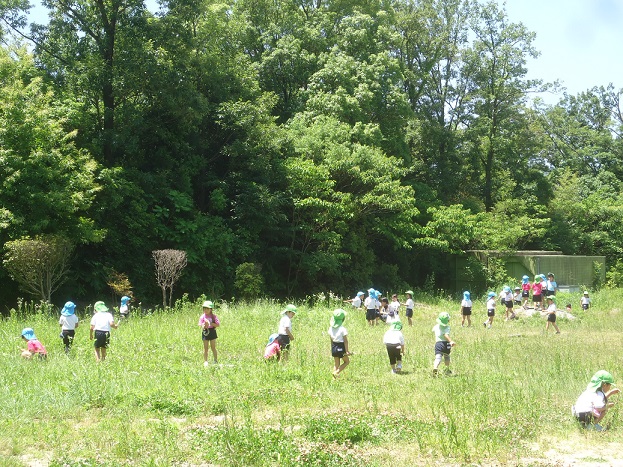 ☆散歩に行ったよ☆年中