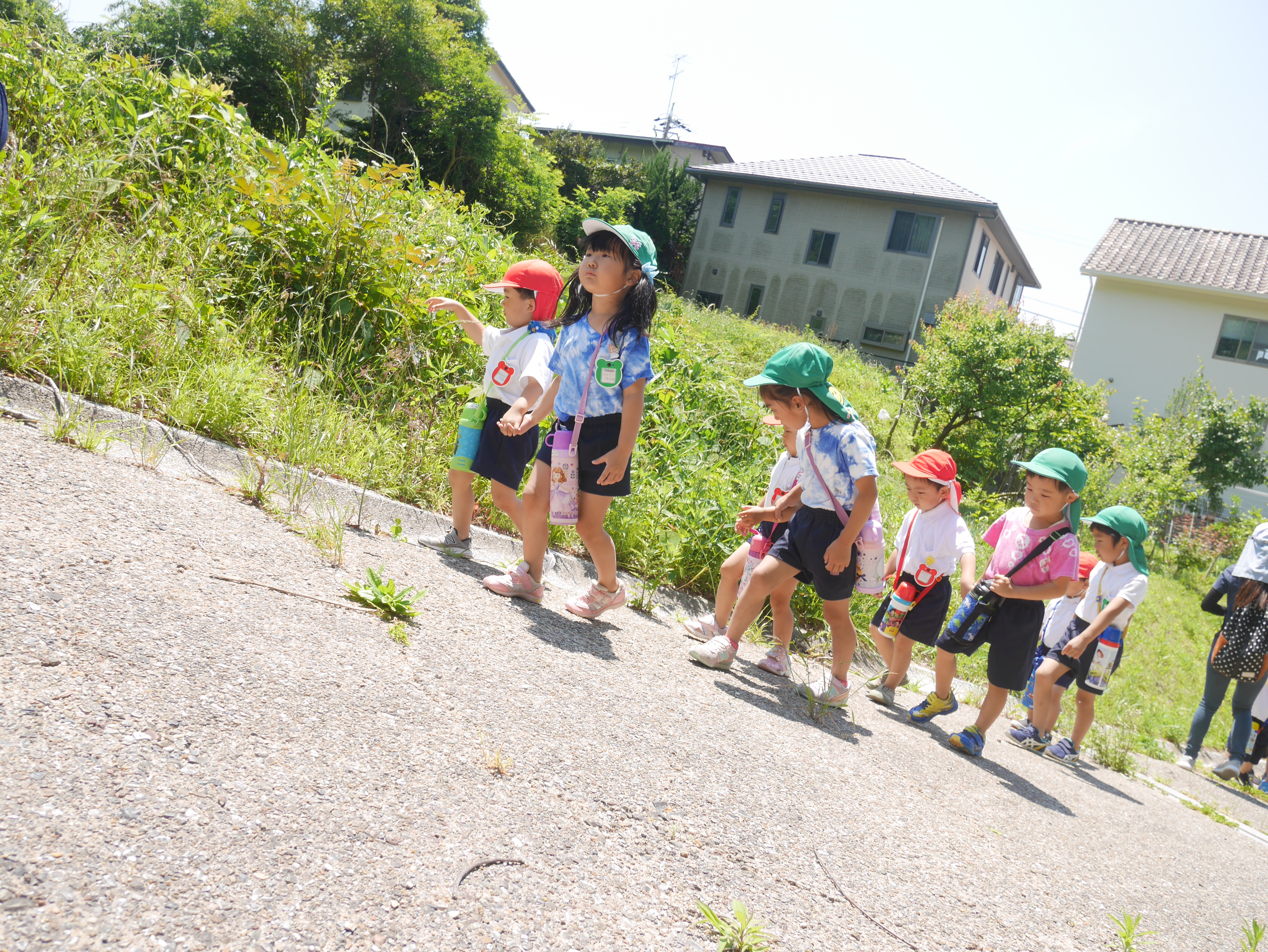 ☆お散歩に行ってきました☆:画像４