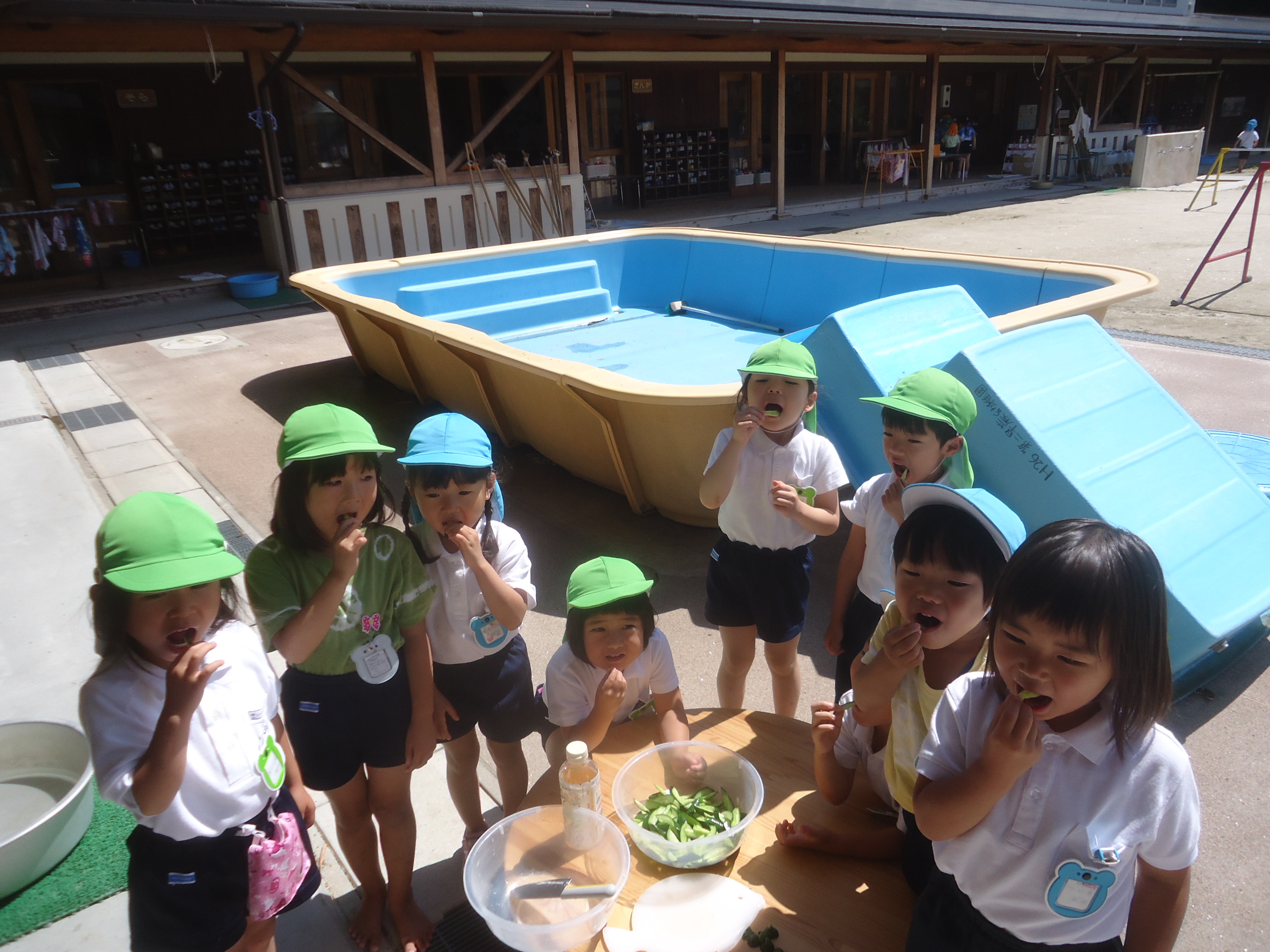 きゅうり美味しかったよ！　　☆年中☆:画像３