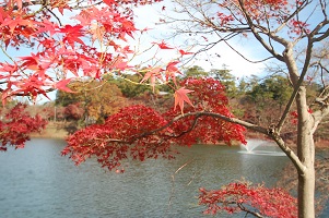 ★年長★　東公園に行ったよ♬ パート１