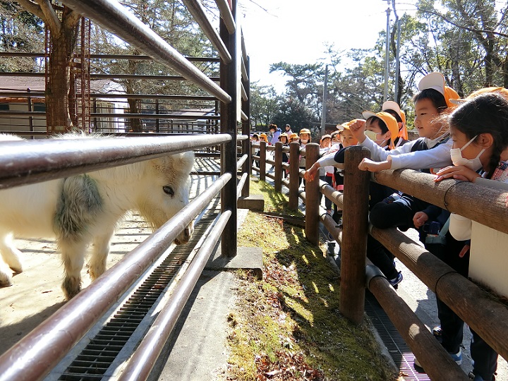 ★年長★　東公園にでかけたよ:画像３