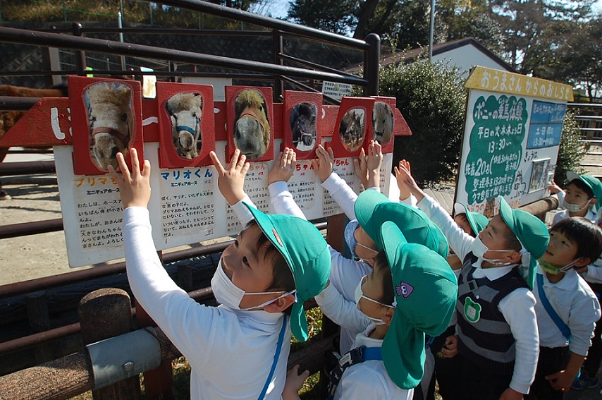 ★年長★　東公園にでかけたよ:画像２