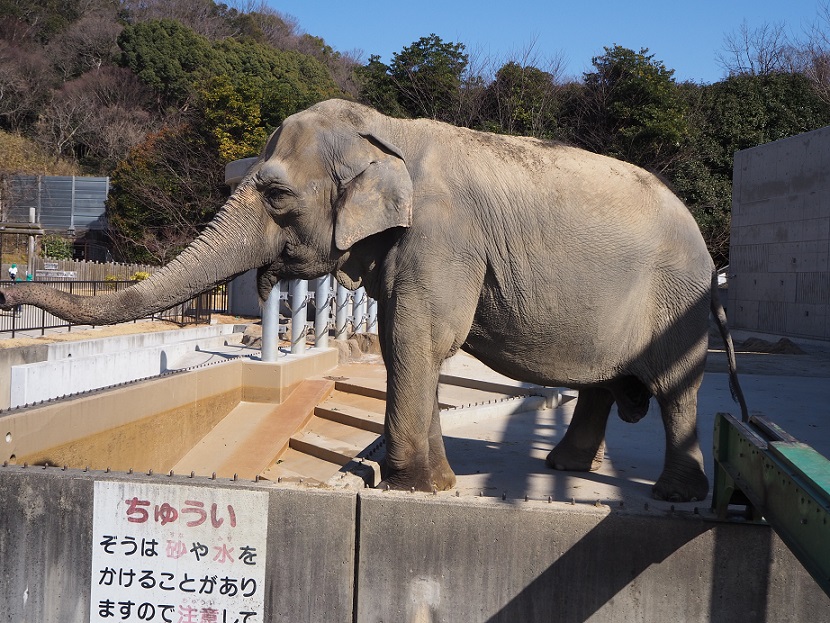 ★年長★　東公園にでかけたよ