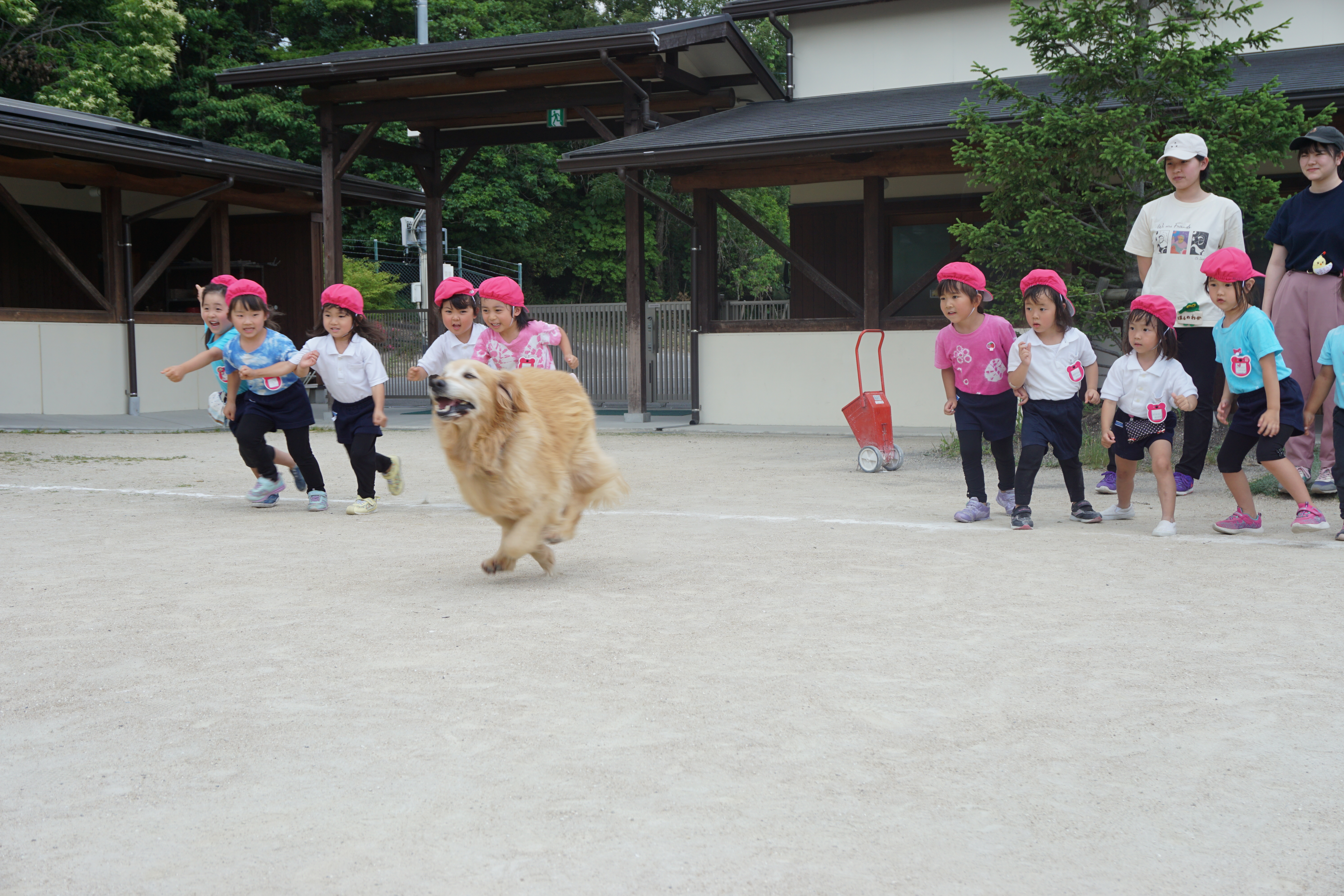 いちご動物園:画像４