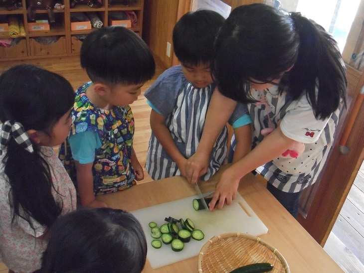 ☆年中☆　夏野菜の収穫第１段:画像２