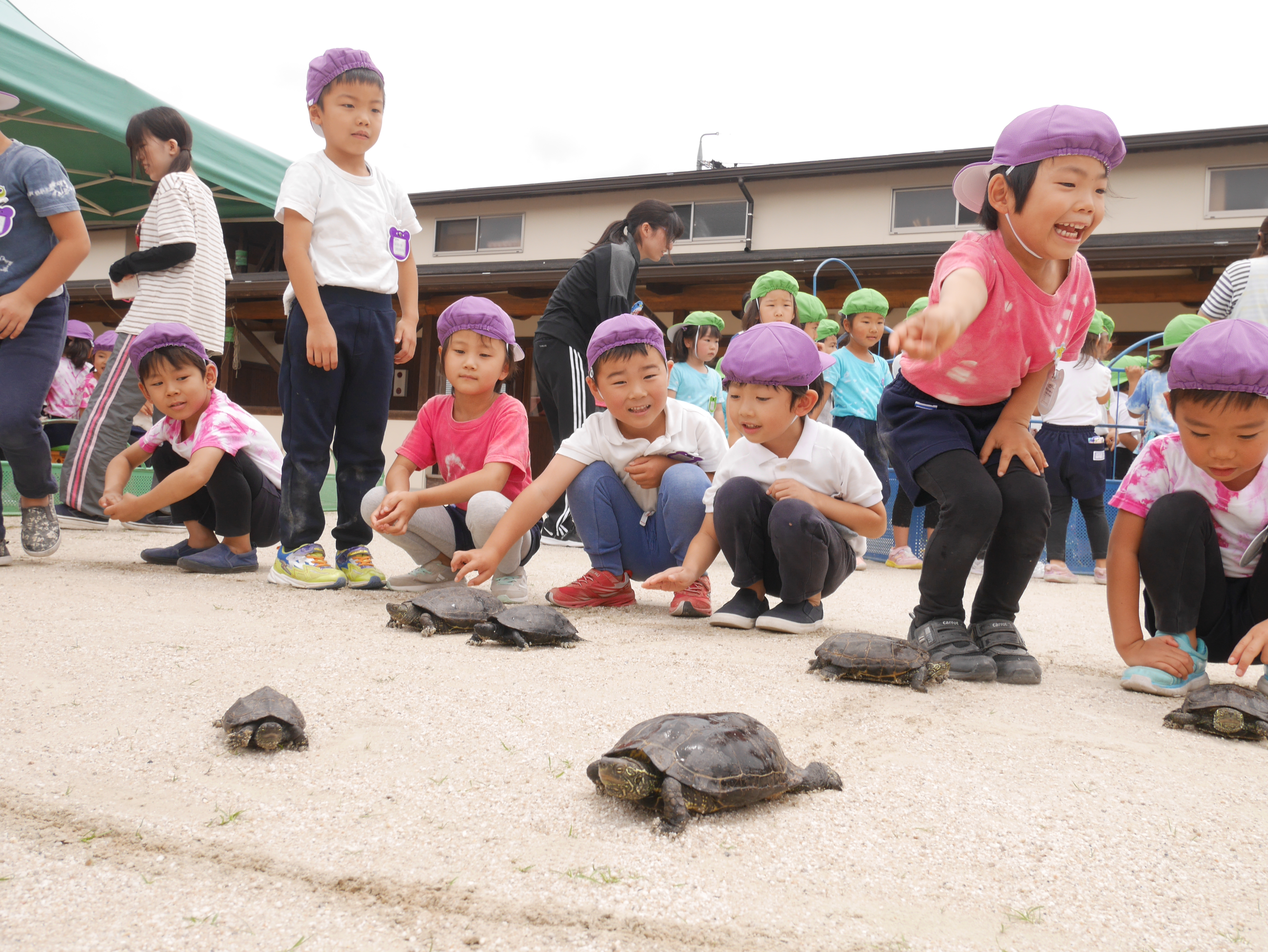 いちご動物園:画像６