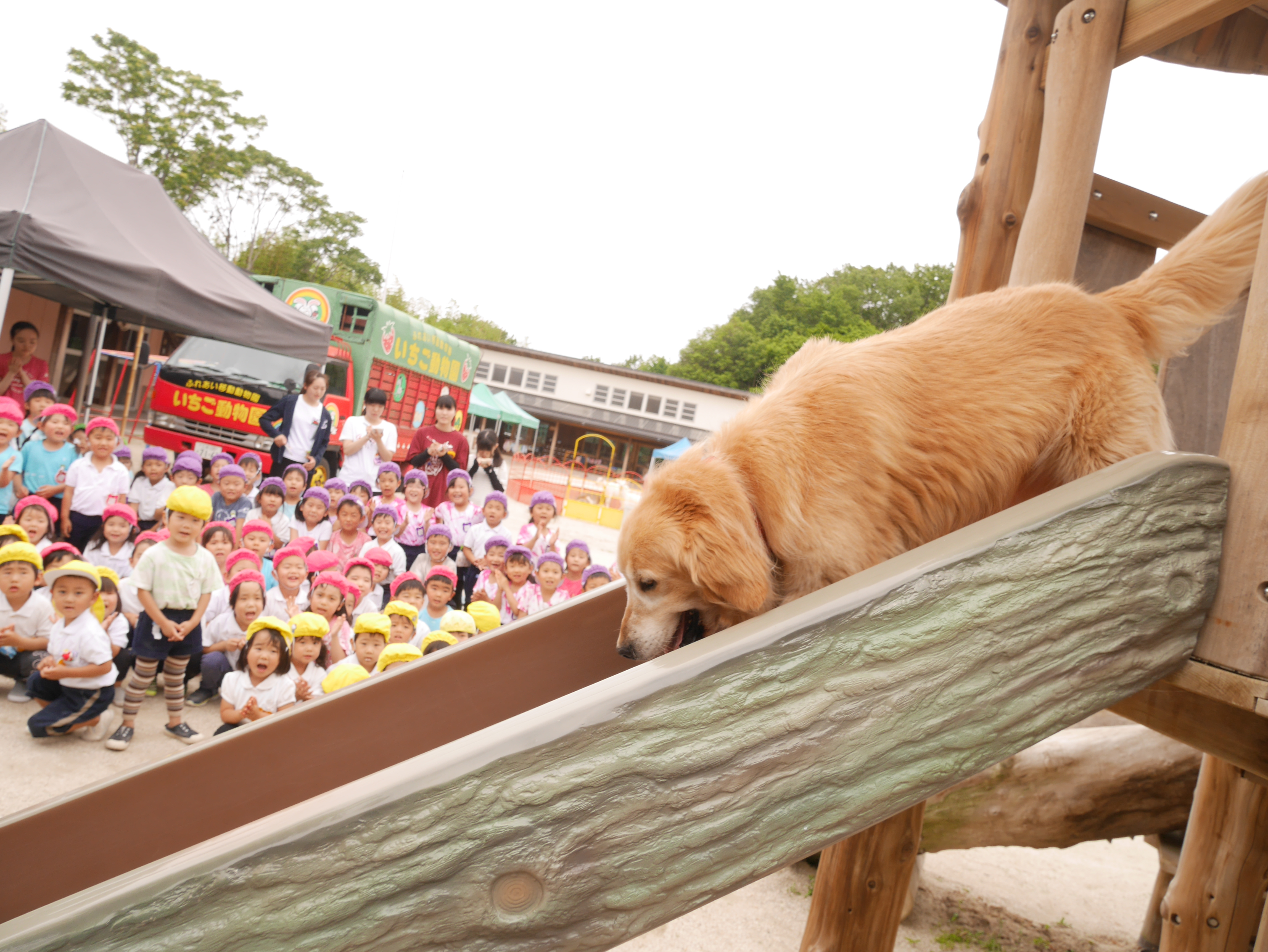 いちご動物園:画像５