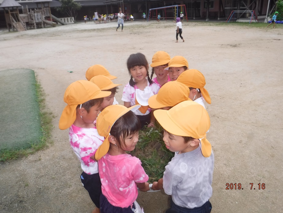 ☆草取り大会をしたよ☆