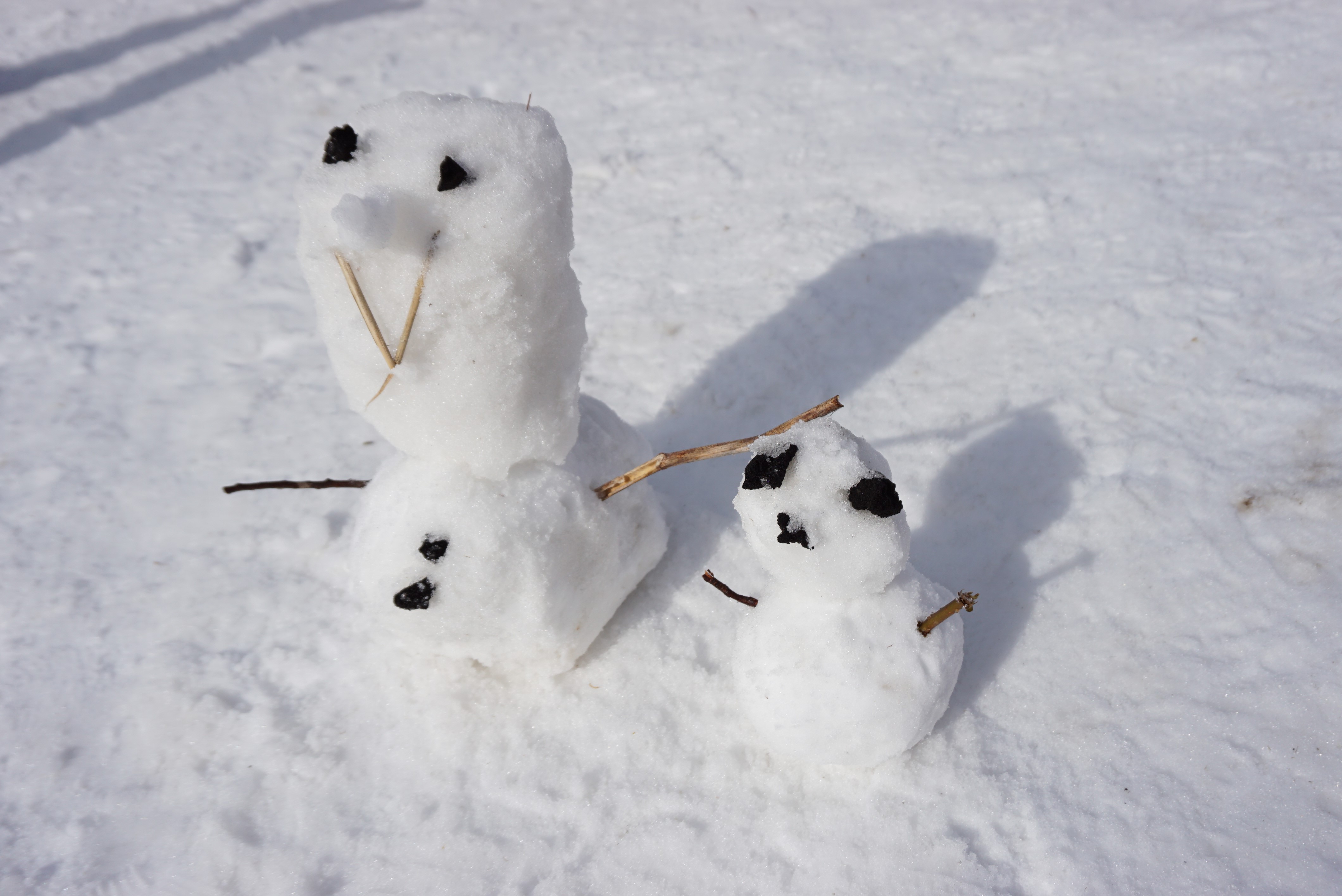 ★年長★雪遊びに行ってきました！