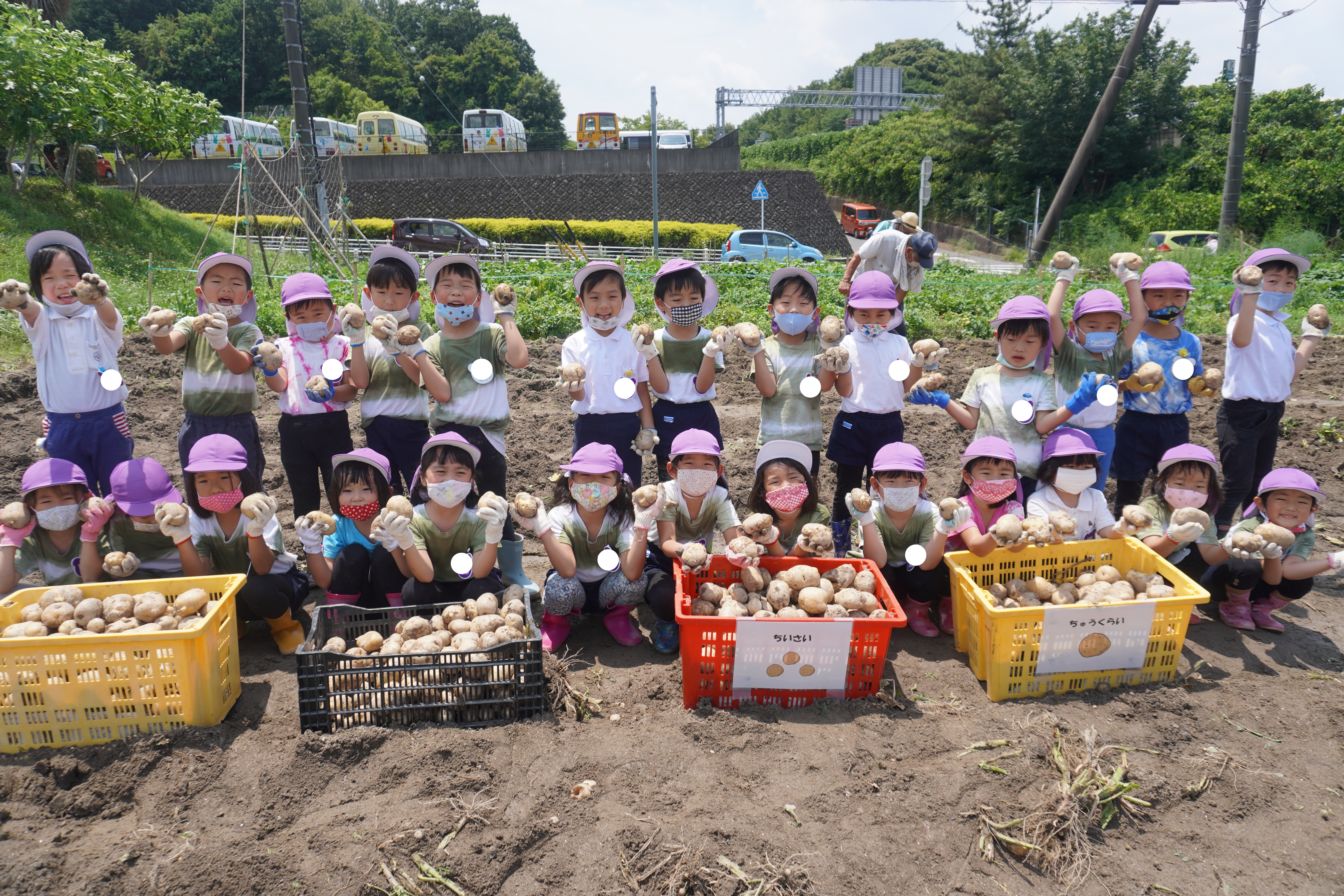 ★年長★ジャガイモ堀りがありました！:画像５