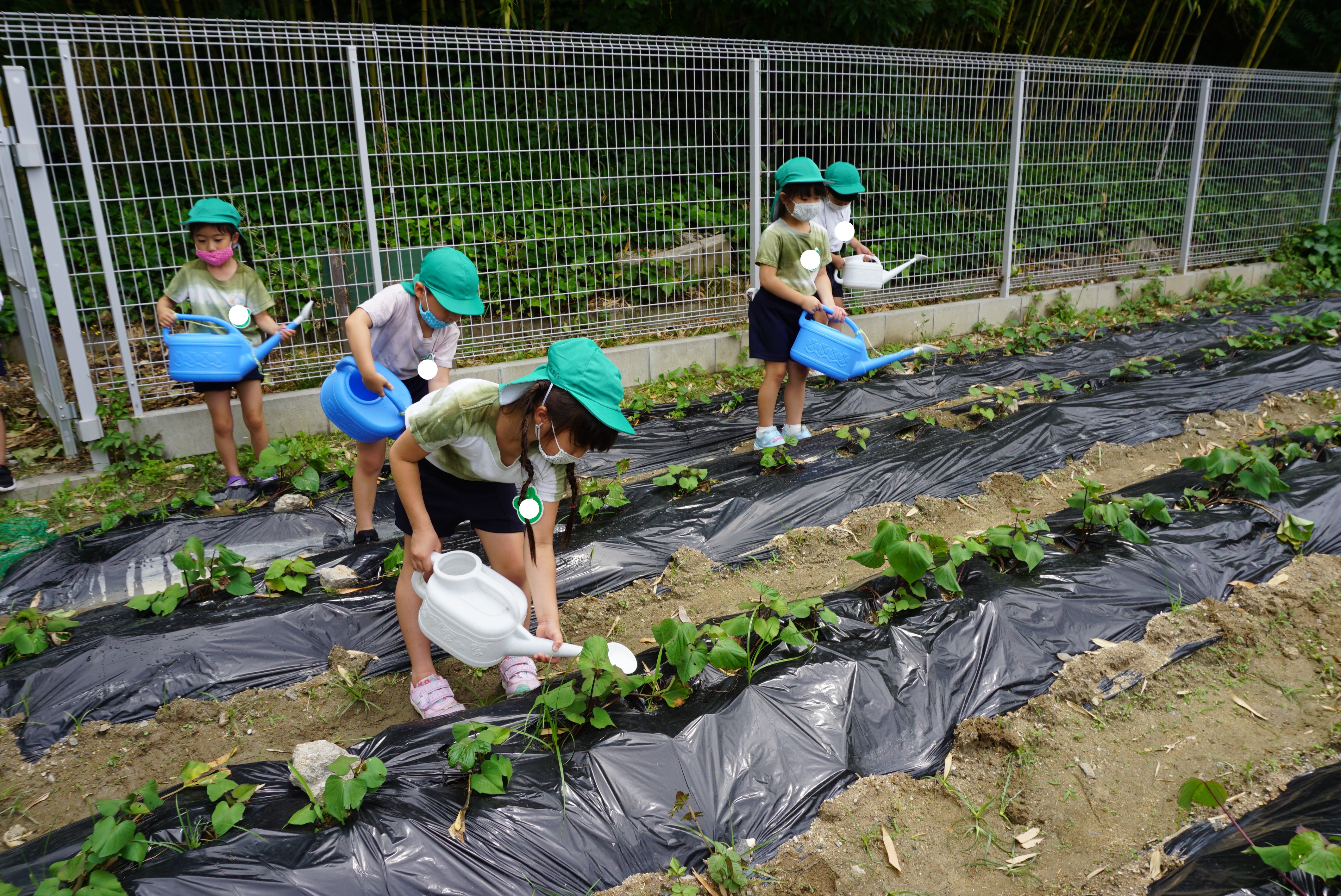 ★年長★今日はこんな1日でした(^^):画像４