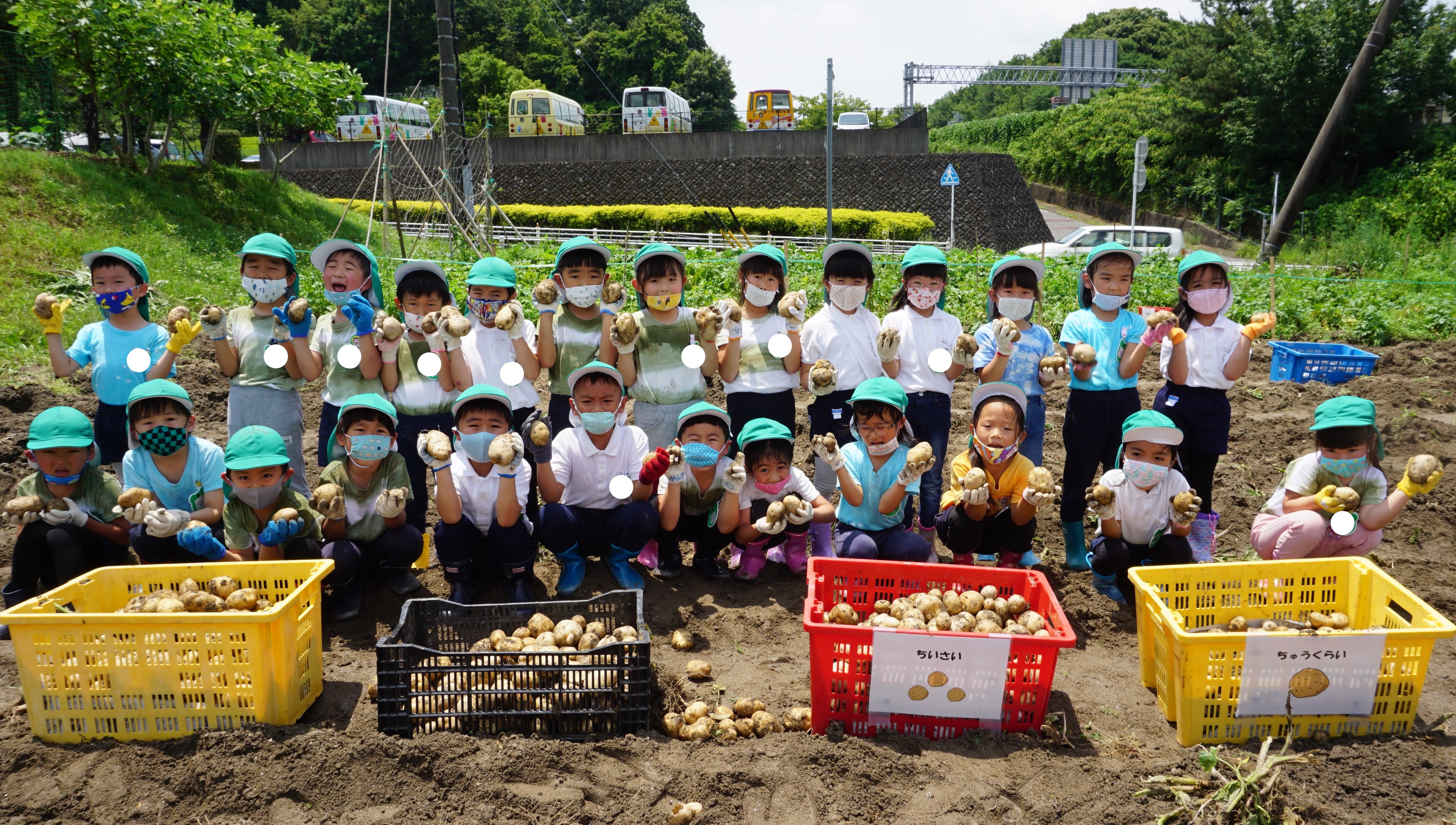 ★年長★ジャガイモ堀りがありました！:画像６