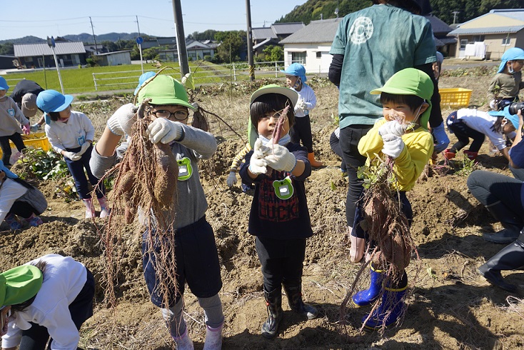 年中　芋掘りに行ってきました！:画像２