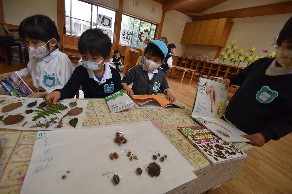 ☆年中☆　アスレチックの森で遊んだよ:画像６