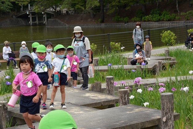 ☆年中☆東公園へ散歩に出かけたよ！:画像３