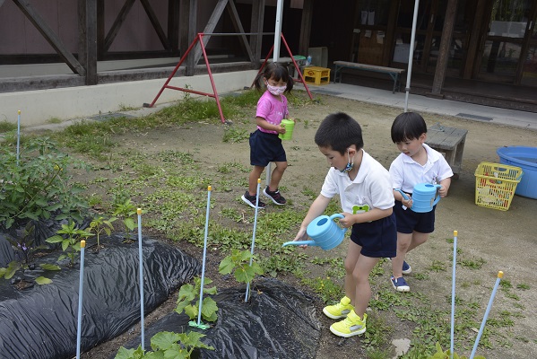 年中☆雨の日のお楽しみ:画像５