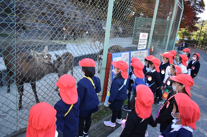 ☆年少☆　東公園に行ってきたよ♪:画像５