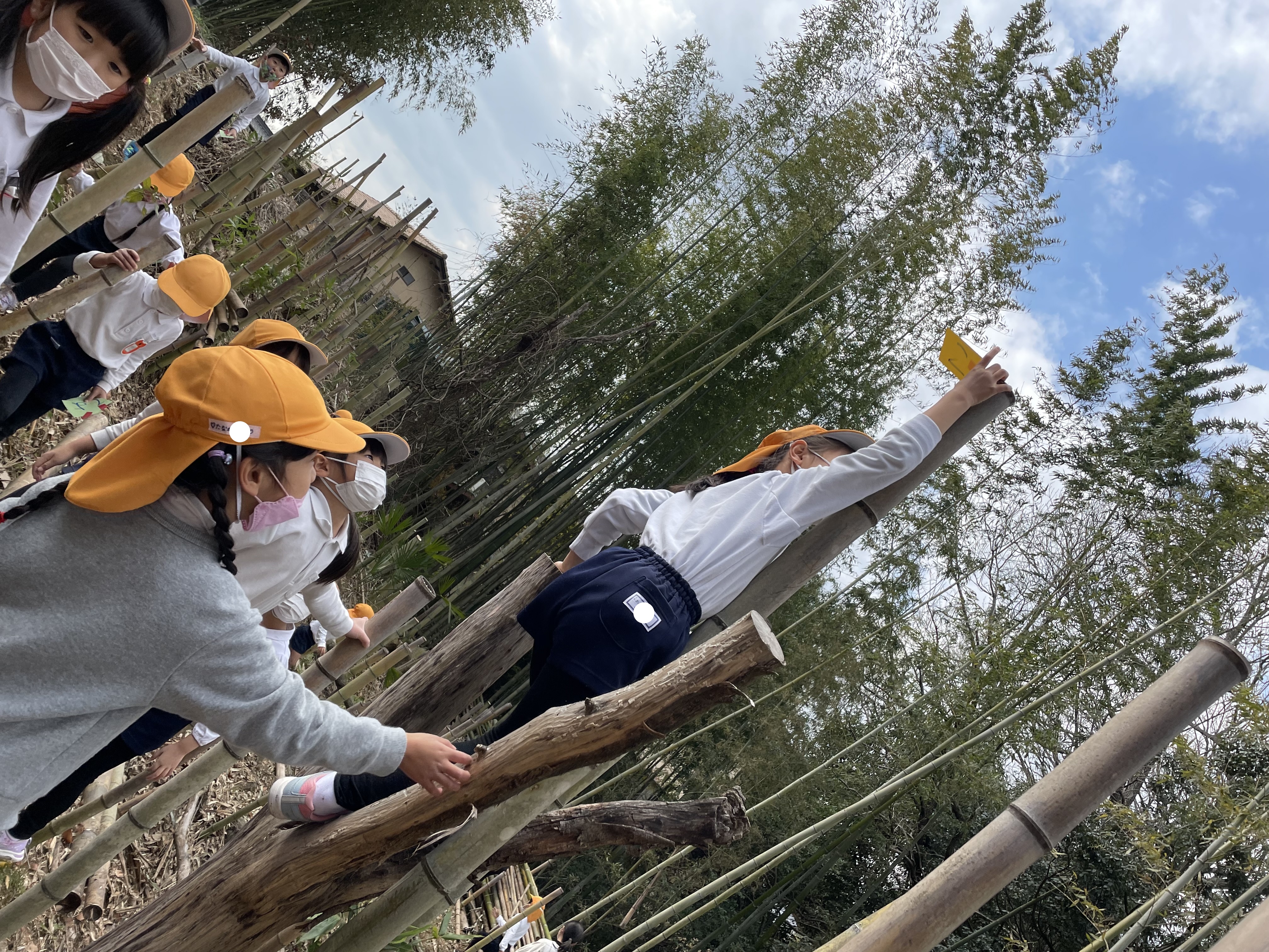 ★年長★竹林で遊びました！