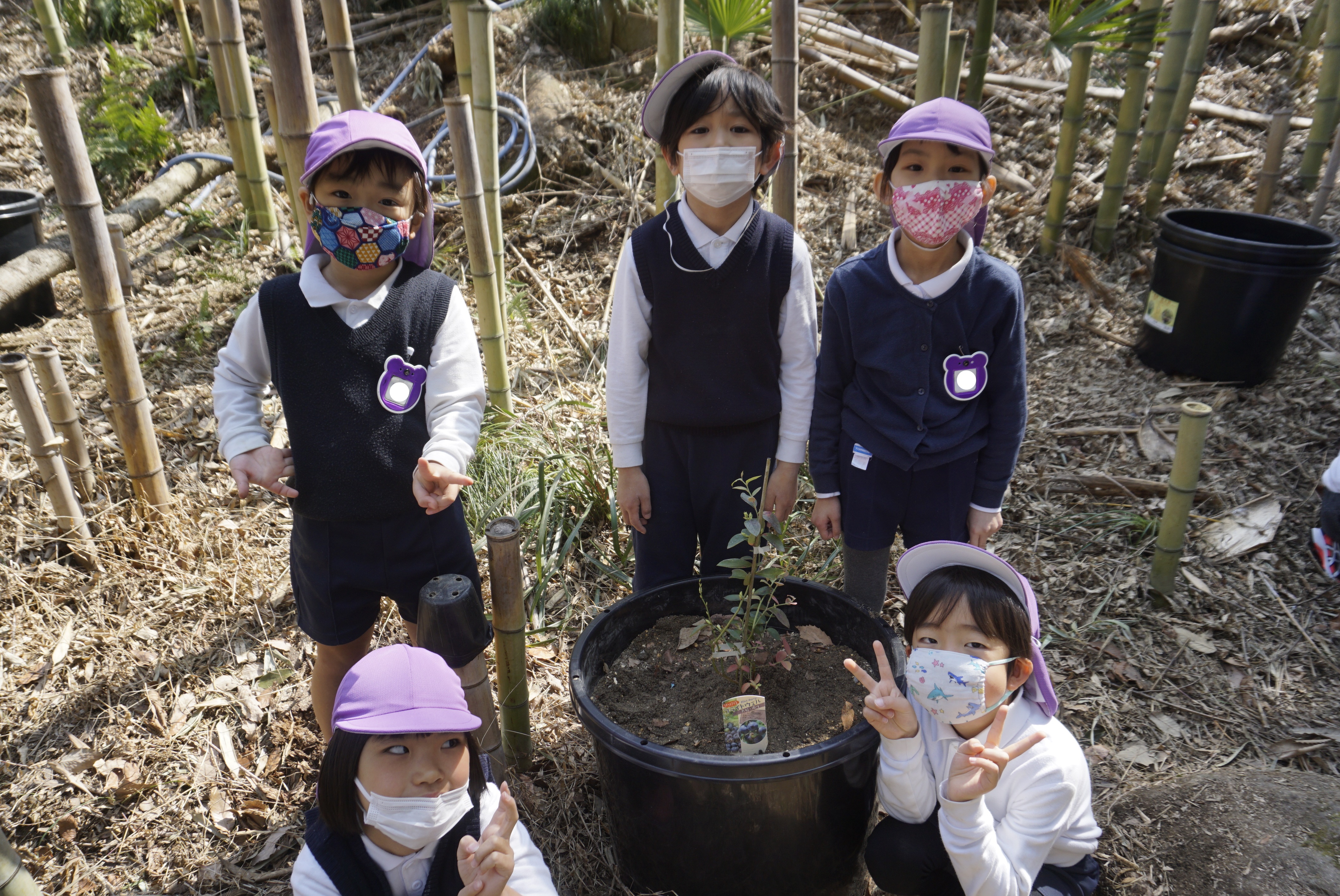 ★年長★フルーツの木を植えました！:画像４