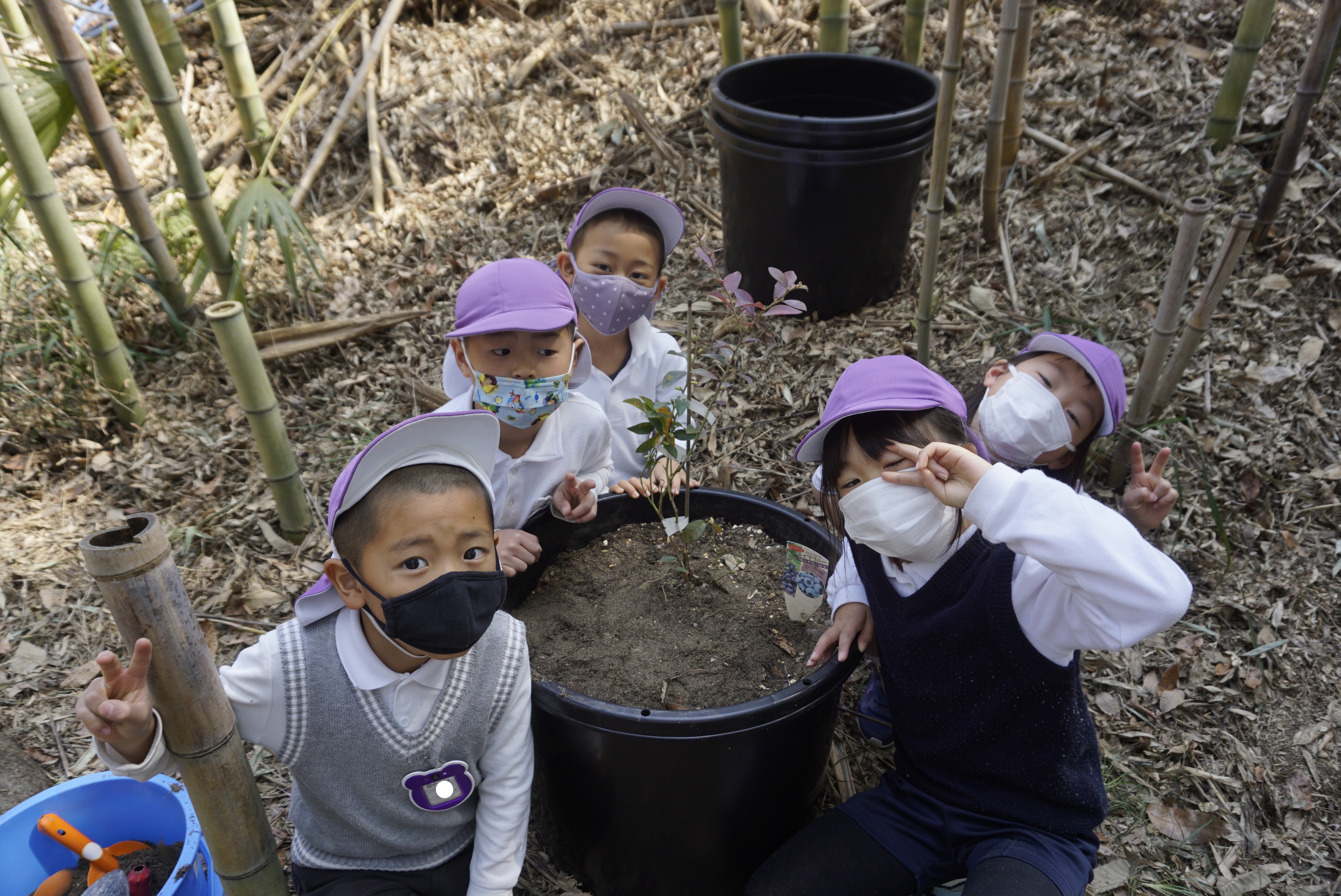 ★年長★フルーツの木を植えました！:画像６