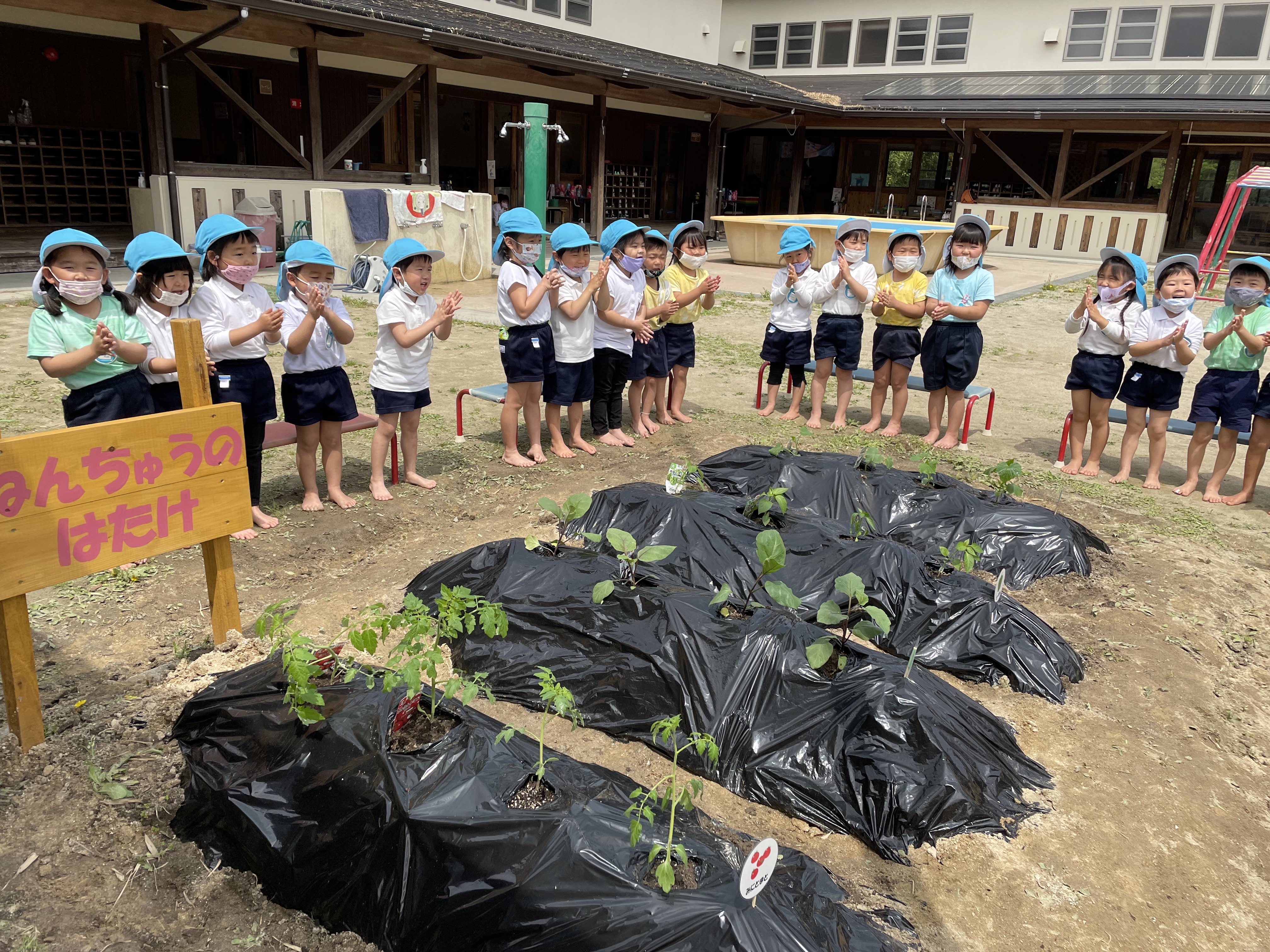 ★年中★夏野菜の苗を植えました！:画像６