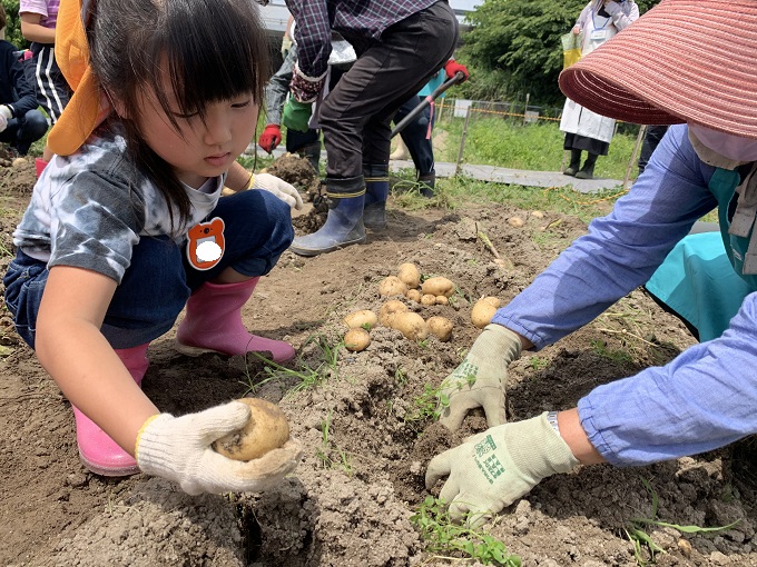 ★年長★　じゃがいも堀りに出かけたよ！！:画像４