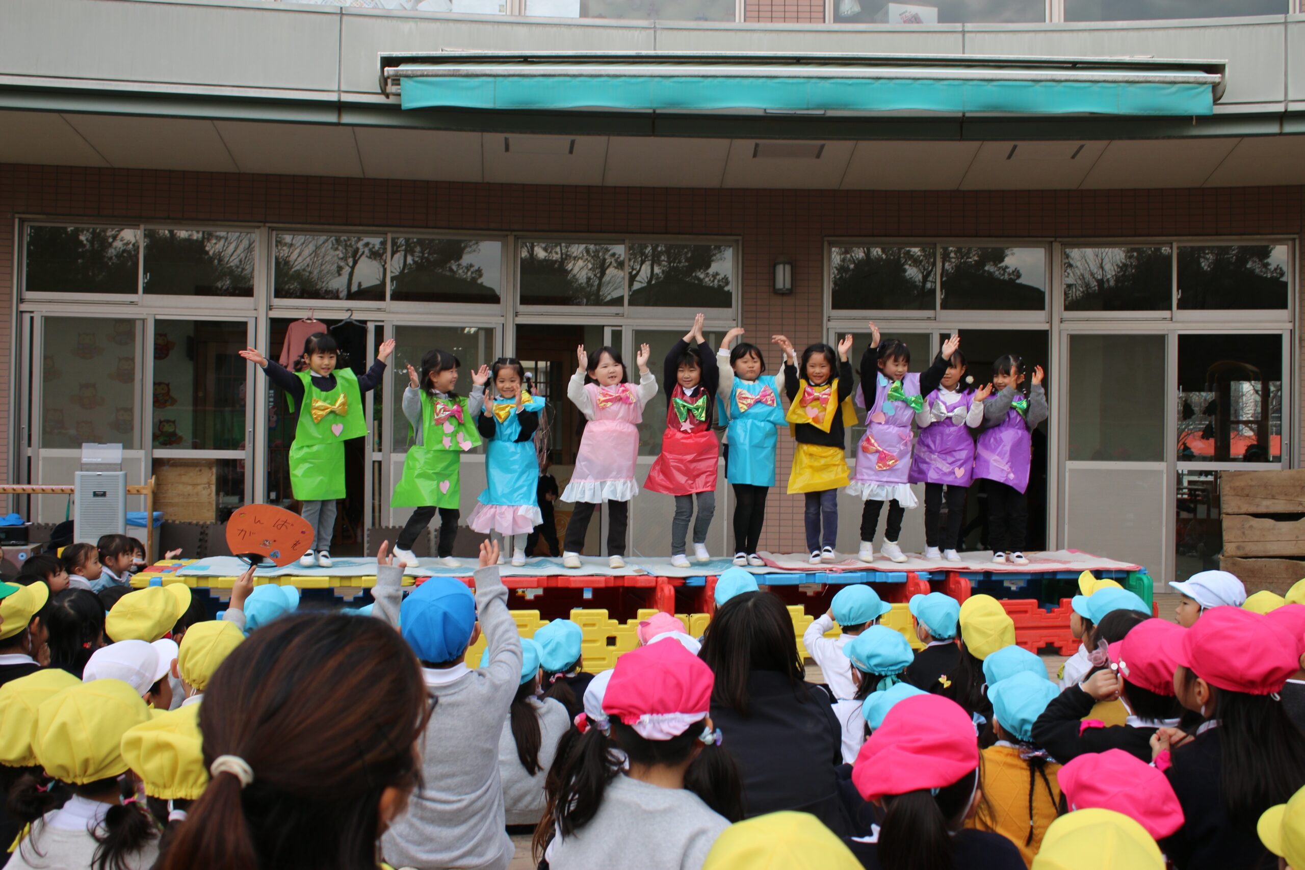 tamran花菖蒲５株同梱(五月晴、千歳、稚児化粧、豊太閤、小笹川) コンサートへようこそ♡ | 第一早蕨幼稚園