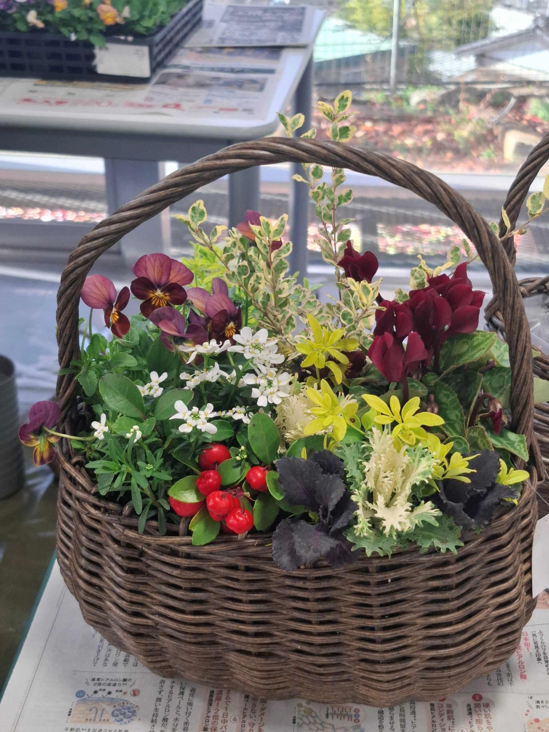 投稿スライドショー2