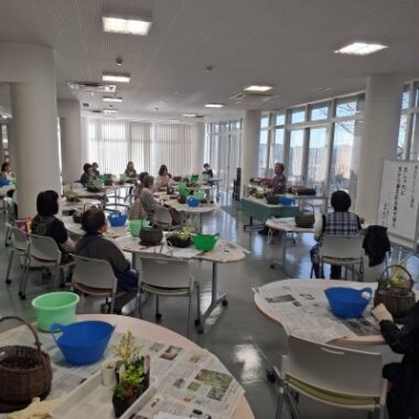 同窓会さかみちの会主催　燈台もとくらし講座⑨「おしゃれに冬から春を彩る寄せ植え」を開催しました